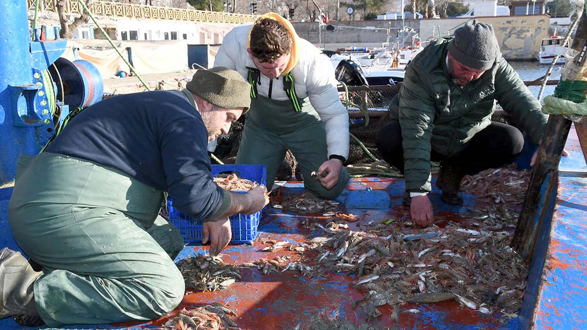 Balıkçılar umutlarını karidese bağladı