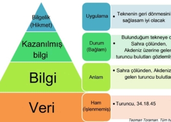 Veri, bilgi, kazanılmış bilgi ve bilgelik nedir?