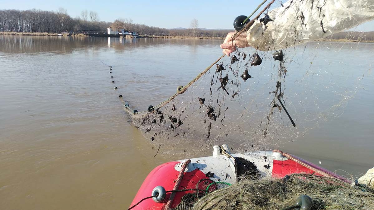 Kaçak avlanan 1 ton balık göle bırakıldı