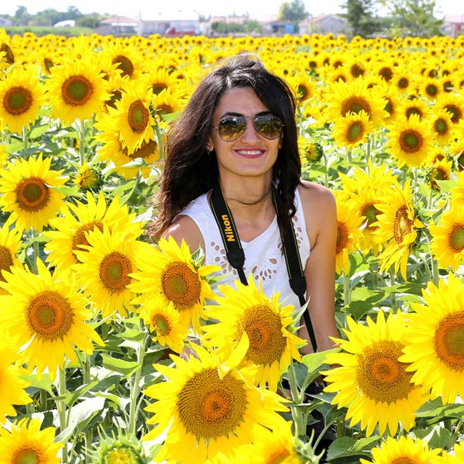 Türkiye’de 2021 yılında, çerezlik ayçiçeği üretimi 29 bin 756 ton ile en fazla Aksaray’da Tuz Gölü Havzası'nda gerçekleşti.