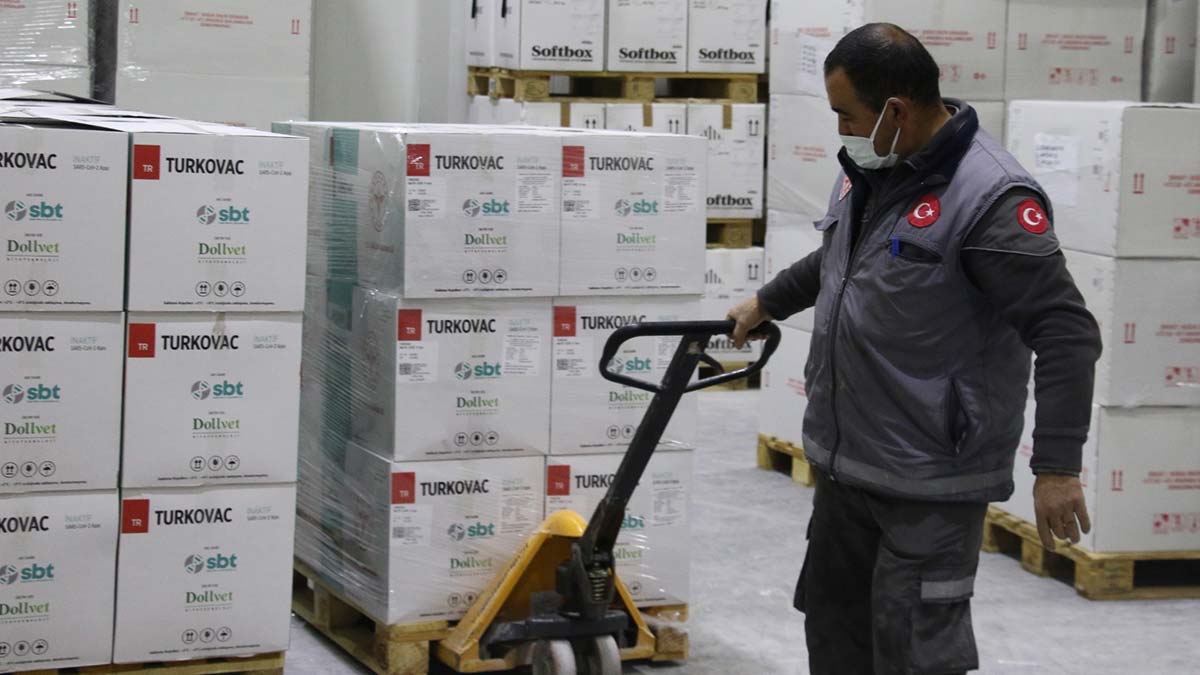 Turkovac aşısının gitmediği il kalmadı