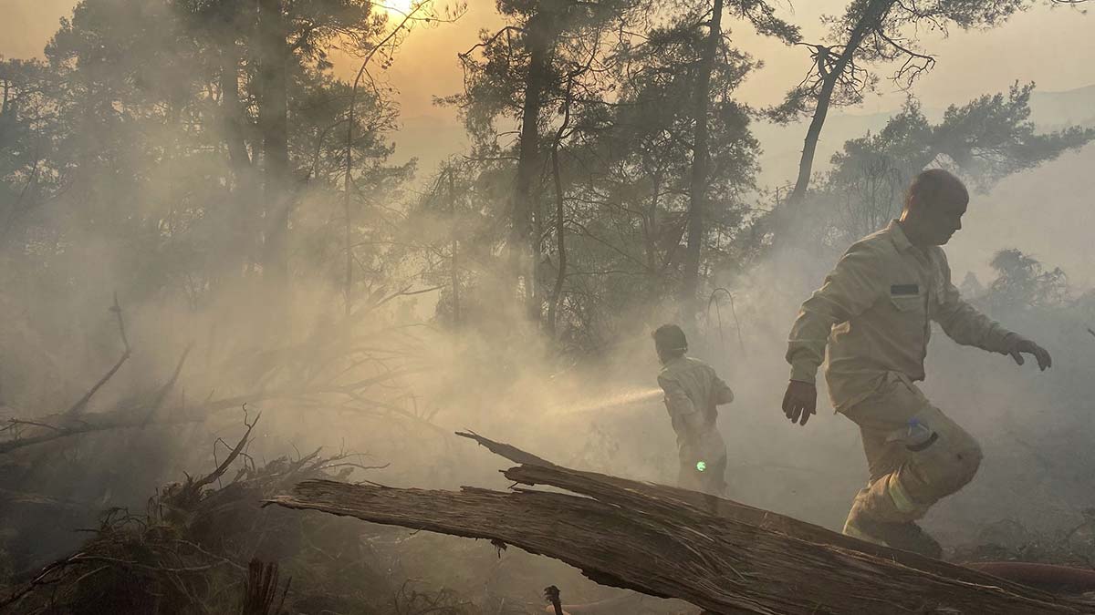Yangına karşı mahalli örgütlenme çağrısı: Orman yangınlarına en etkin müdahalenin, önleyici faaliyetler ve yangın çıktıktan sonraki ilk 30 dakikada yapılacak çalışmalar olduğuna vurgu yapıldı.