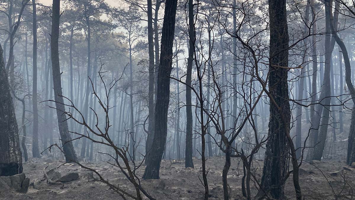 Yangına karşı mahalli örgütlenme önemli