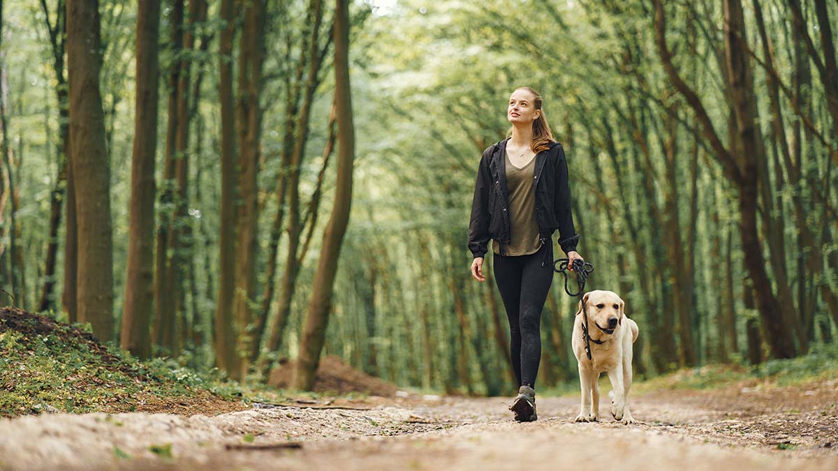 Yürümenin fiziksel faydaları