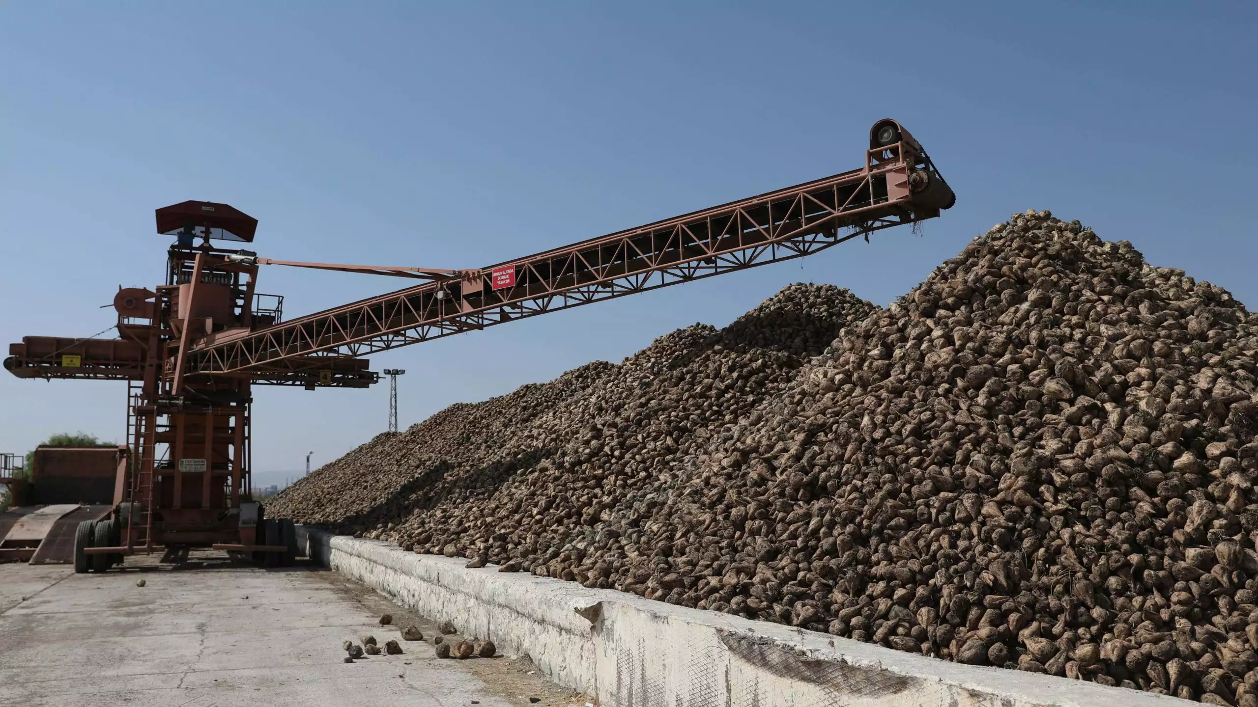 200 bin tonluk ihtiyac fazlasi seker bulunmakta 1 scaled - i̇ş dünyası - haberton