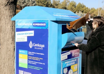 Kağıt atıklar 2.5 milyon ağaca can oldu