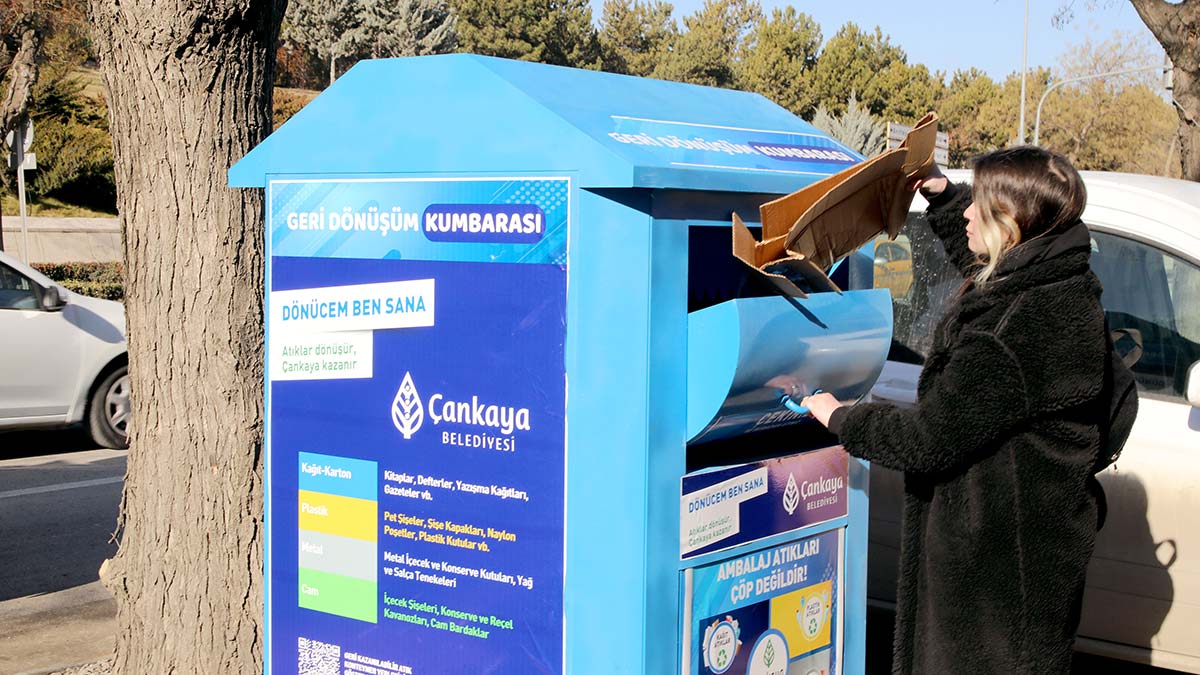 Kağıt atıklar 2.5 milyon ağaca can oldu