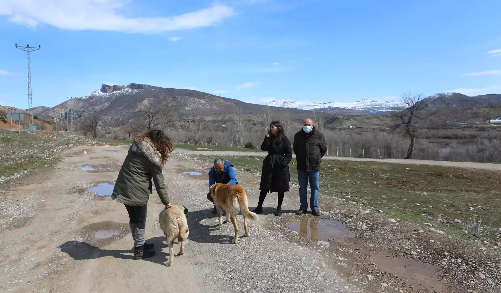 4 bacağı kesilmiş ölü sokak köpeği bulundu