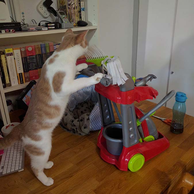 Çöp kutularının düzensiz ve öngörülemeyen temizliği