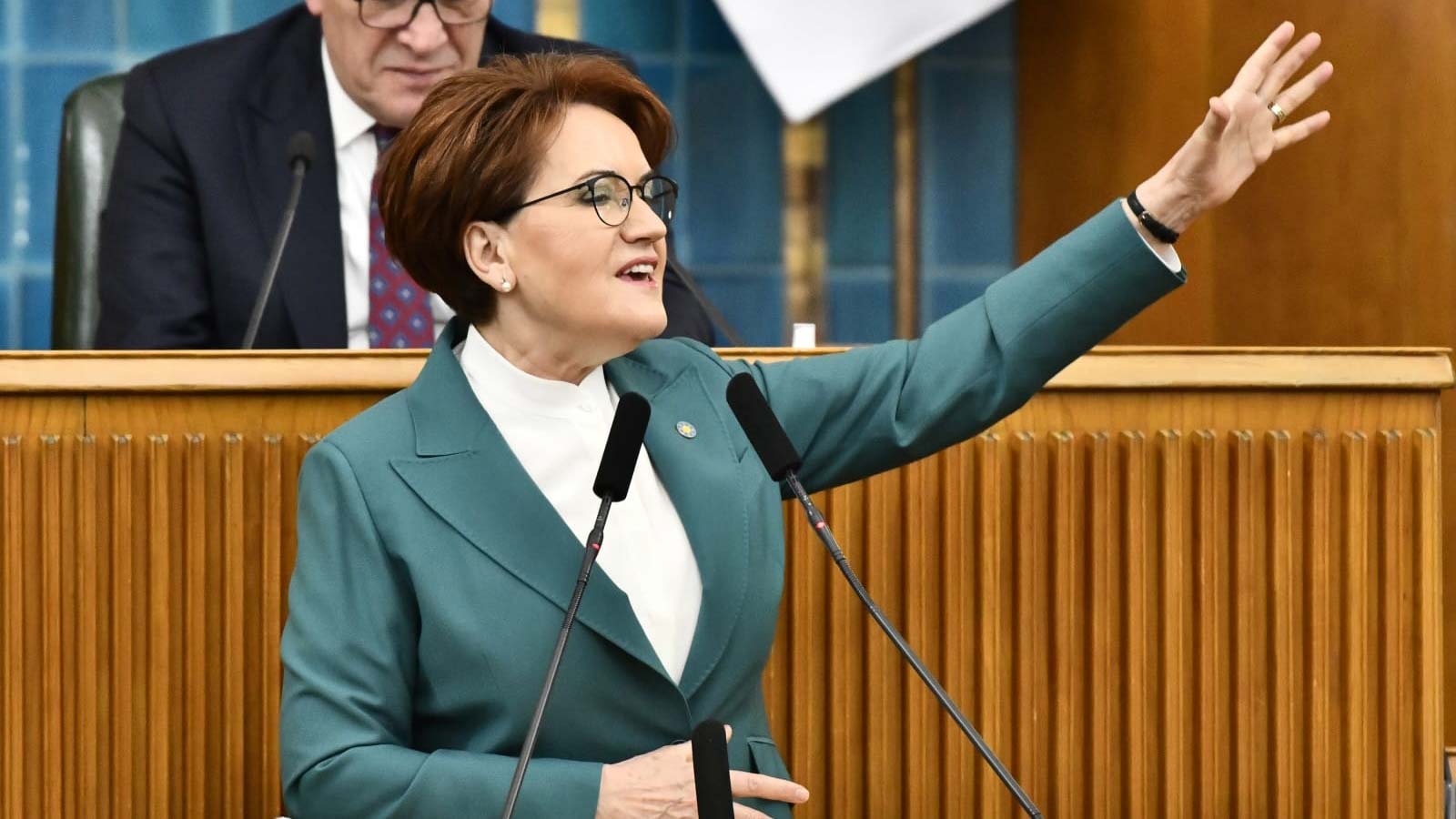 Akşener; biz projeye değil ranta karşıyız