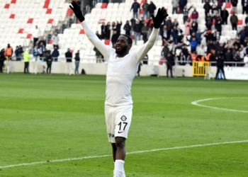 Altay'da Poko sarı kart gördü