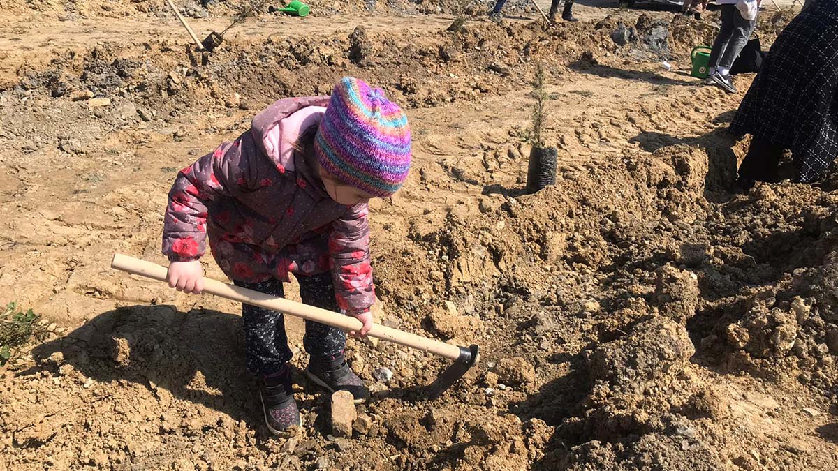Arnavutköy’de 'Fidan Dikim Şenliği'