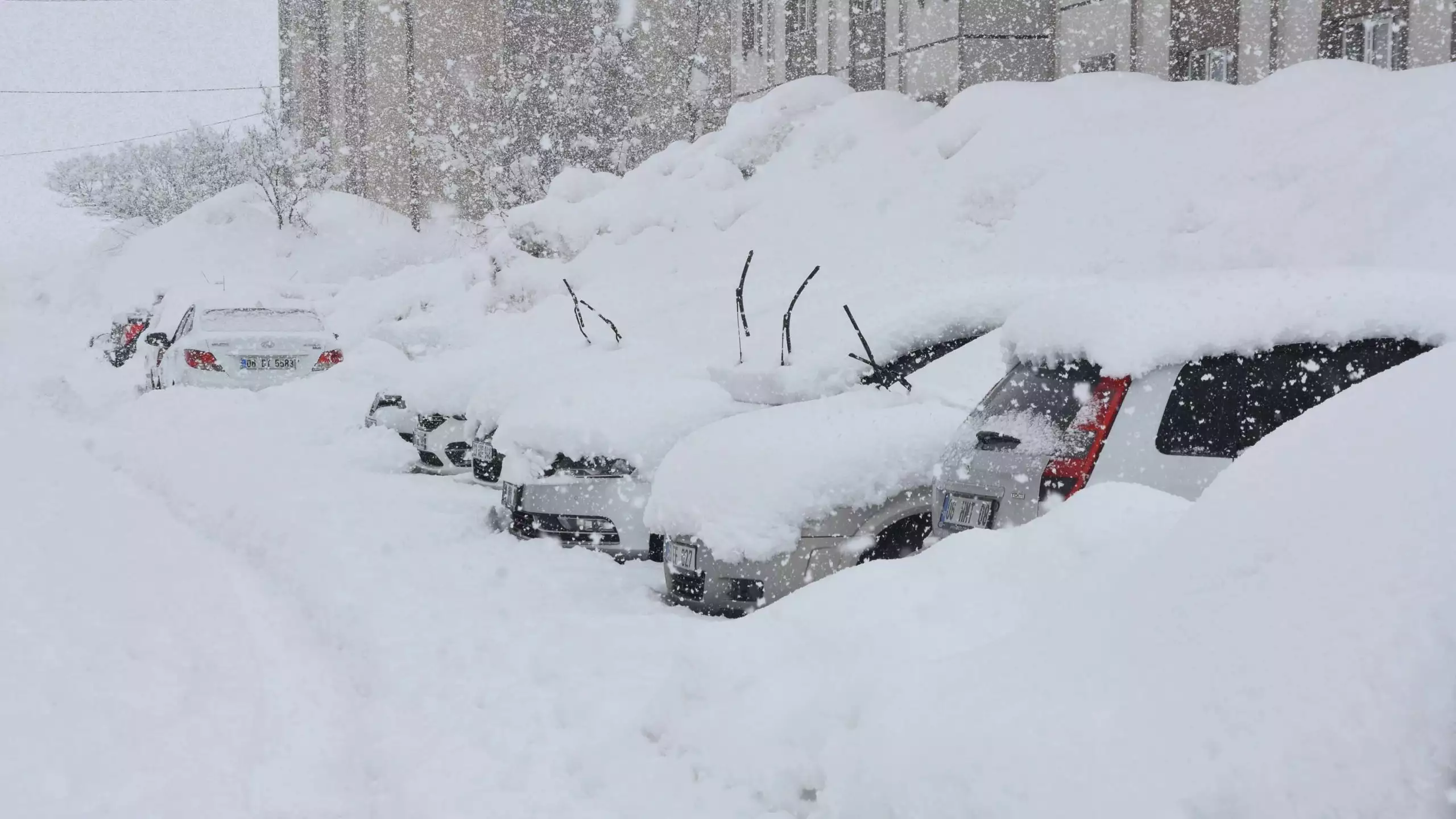 Bitlis'te 294 köy yolu kardan kapandı