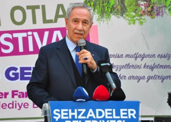 Bülent Arınç, Güzel günler yakındır
