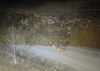 Bursa'da heyelan; baraj yolu ulaşıma kapandı