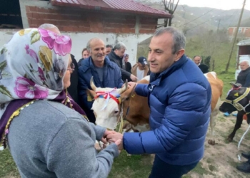 Heyelanda havyanlarını kaybedenlere inek yardımı