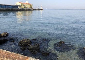 İzmir'de Pasaport İskelesi kapatıldı