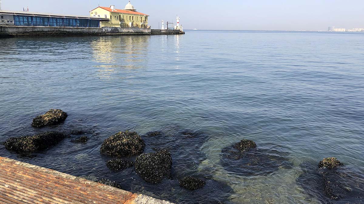 İzmir'de Pasaport İskelesi kapatıldı