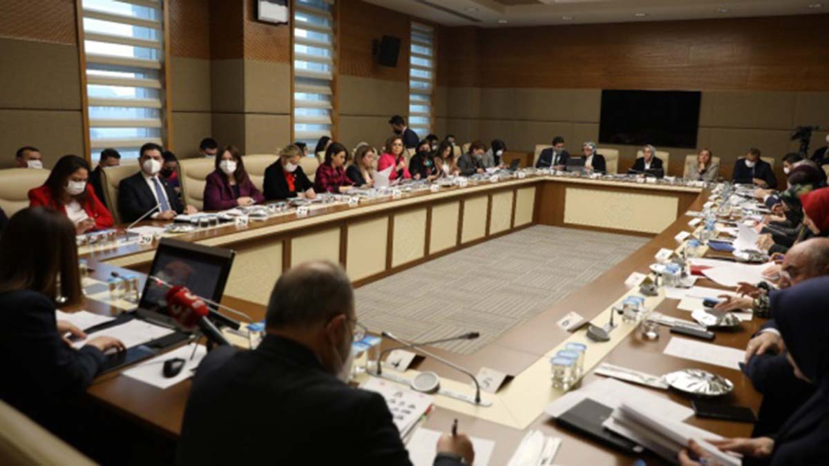 Kadına yönelik kanun teklifi kabul edildi