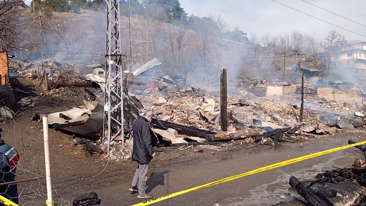Kastamonu'da 7 ev 7 ahır yandı