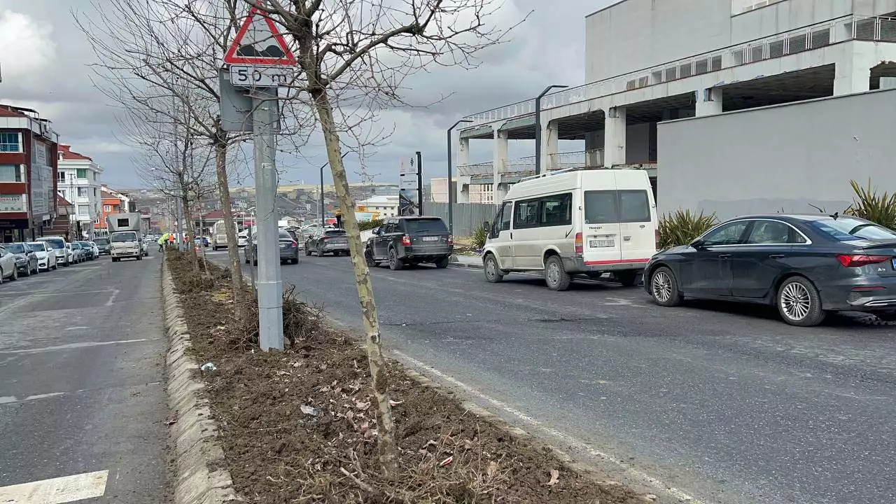 Refujdeki ferforje demir citler calindi 1 1 - yaşam - haberton