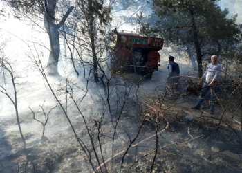 Soma'da çıkan orman yangını söndürüldü