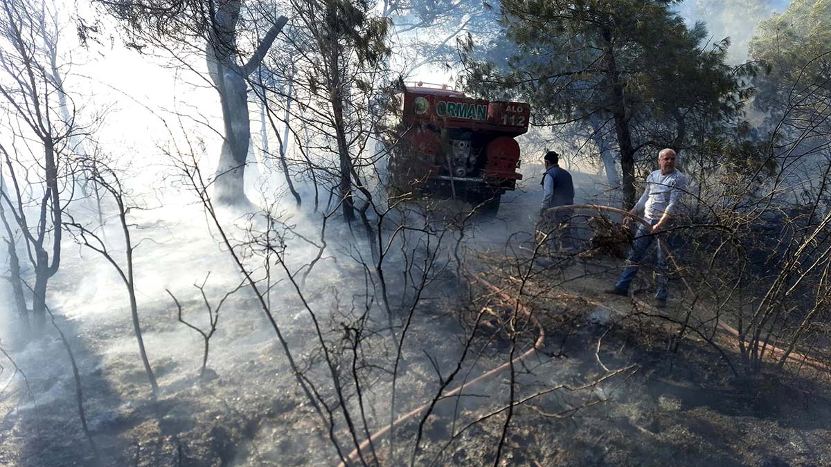 Soma'da çıkan orman yangını söndürüldü