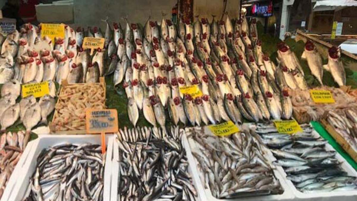 Uzmanından mevsimine uygun balık önerileri