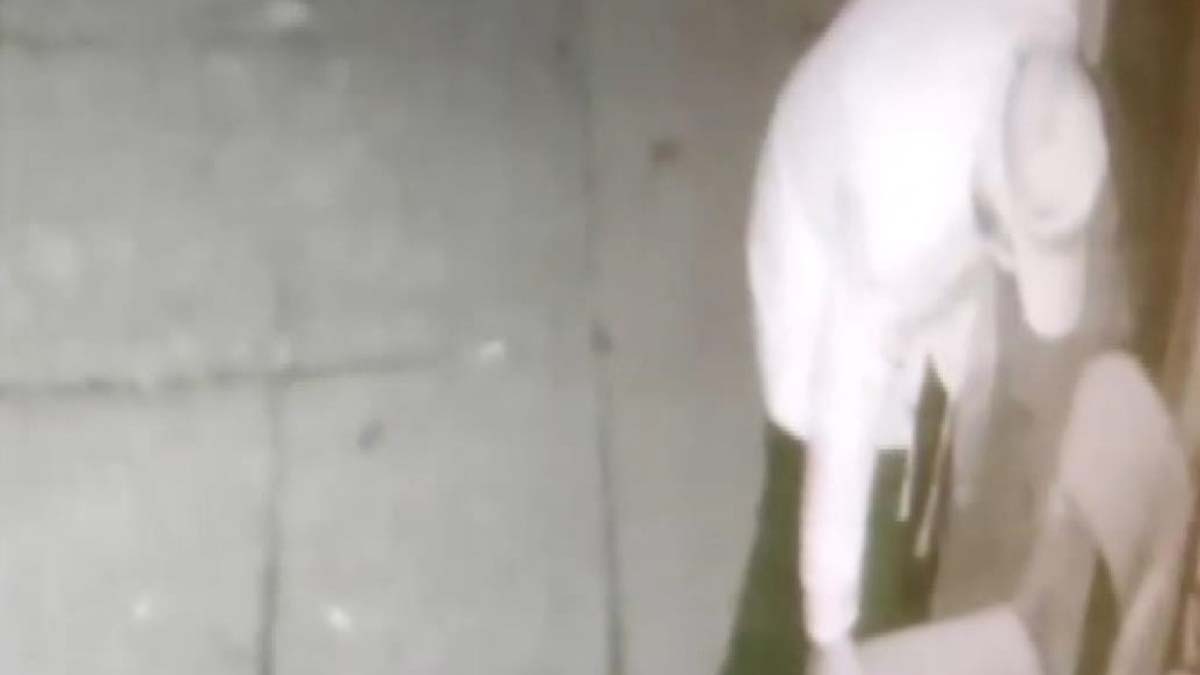 Vanayı çaldı; suyun boşa akmasına aldırmadı