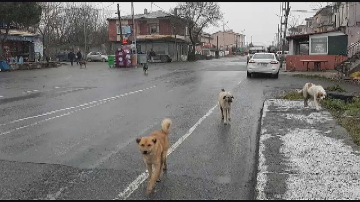 Arnavutköy'de kar yağışı başladı
