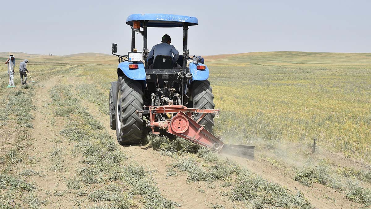 “Bizim en büyük hayalimiz Ankaralıyı zengin etmek” diyen Ankara Büyükşehir Belediye Başkanı Mansur Yavaş, "Başkentli çiftçiye mazot desteği başladı" açıklaması yaptı.