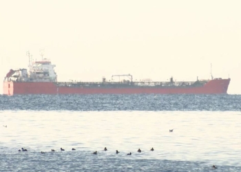 Ayçiçek yağı yüklü gemi Marmara'ya açıldı
