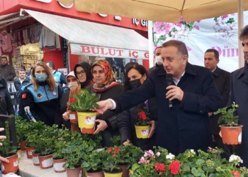 Kadınlara 10 bin sardunya dağıtıldı