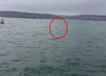 İstanbul Boğazı'nda yabancı cisim hareketliliği