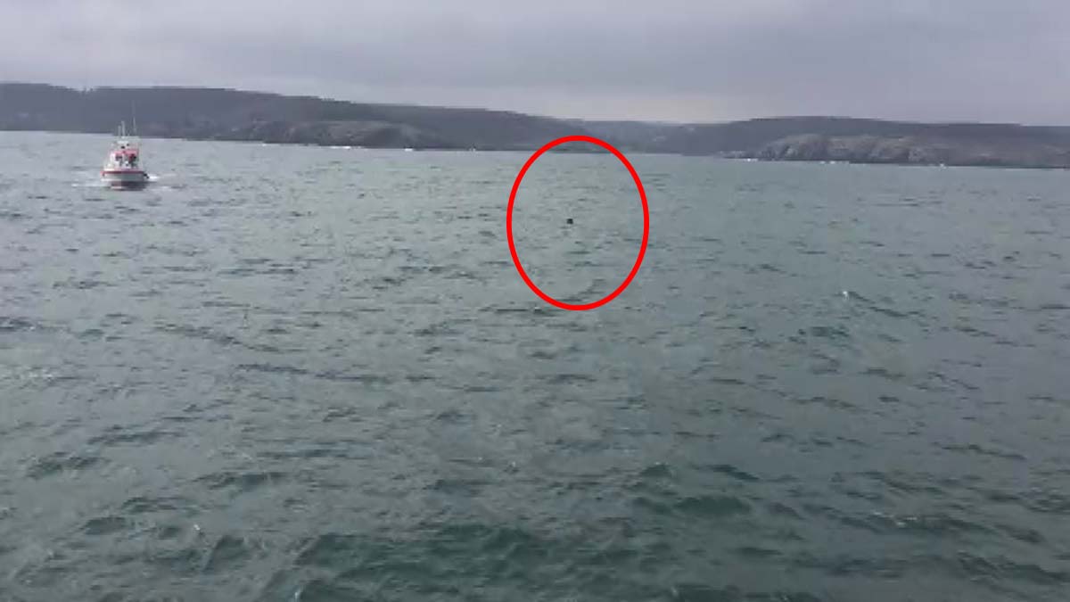 İstanbul Boğazı'nda yabancı cisim hareketliliği