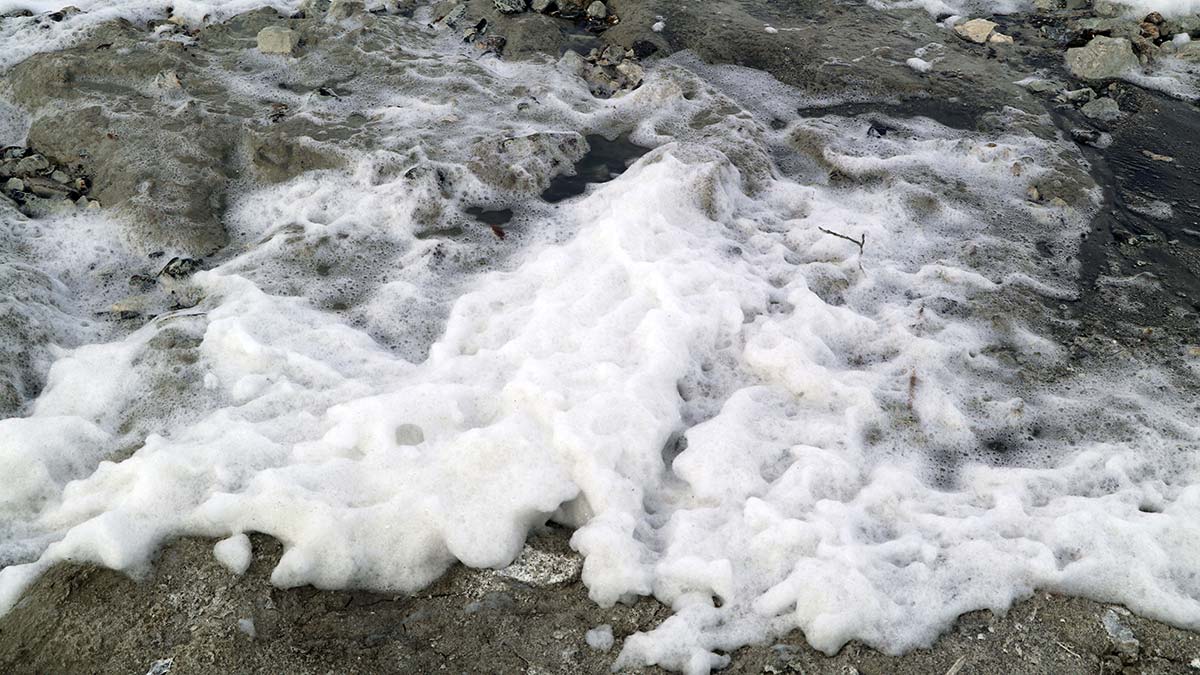 Burdur Gölü'nün sahili yine köpürdü