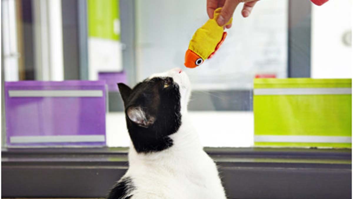 Azalmış sosyal etkileşim