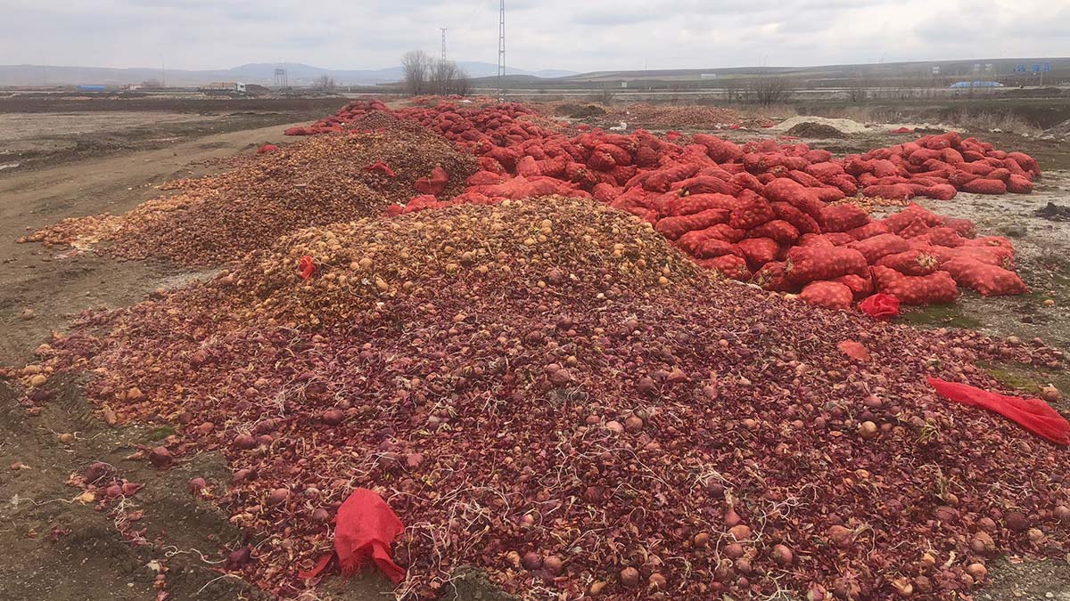 Çorum'da tonlarca soğan yol kenarına döküldü
