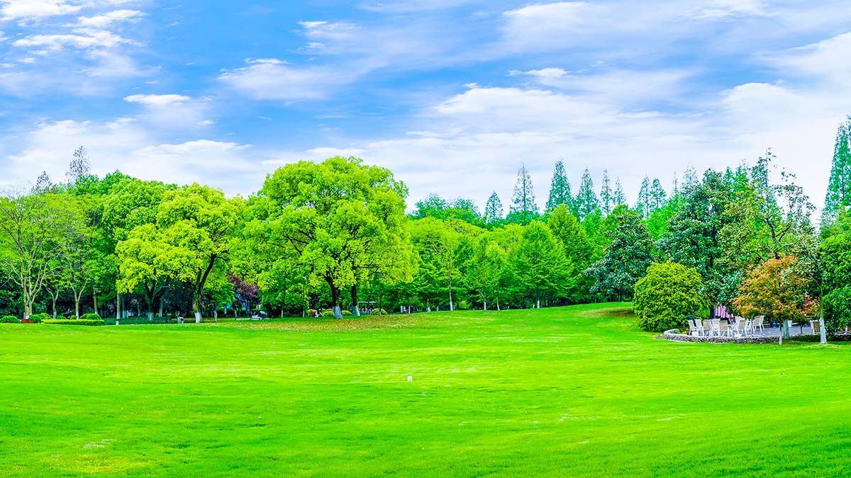 Doğanın nefesi; "Çiçeklerin, ağaçların rüzgarda fısıltılarını duyuyorum. Her kelimeyi ve bütün duyguları algılayabiliyorum."