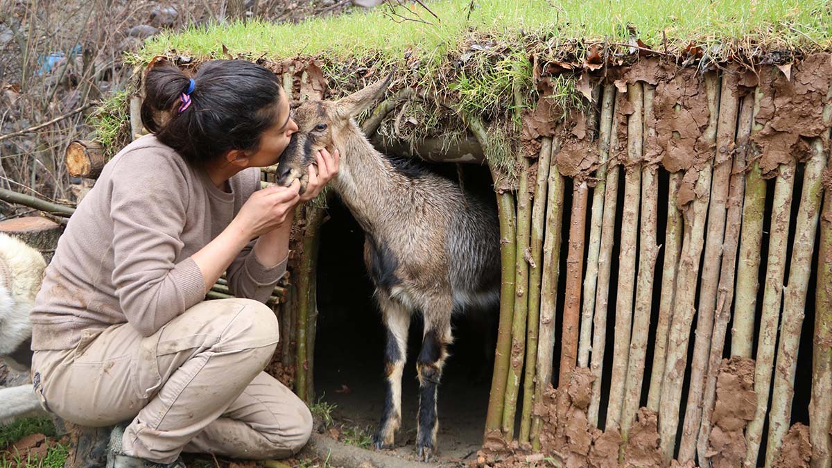 Irak sınırındaki Çukurca ilçesine bağlı Narlı köyünde oturan Cevahir İlhan, dağ keçisi için barınak yaptı. Sık sık barınakta da kalan İlhan, bu süreci kısa videolarla anlatmaya başladı.