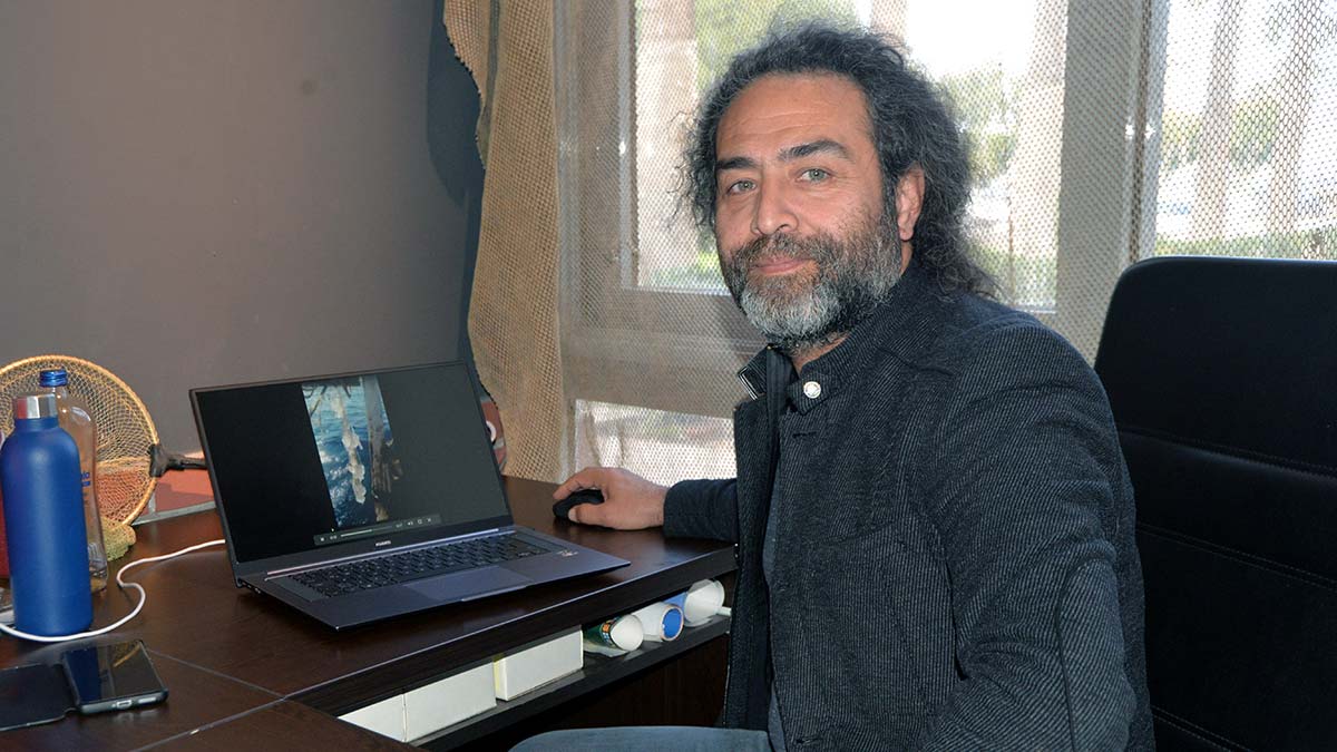 Doğu Akdeniz'de denizanaları çoğaldı