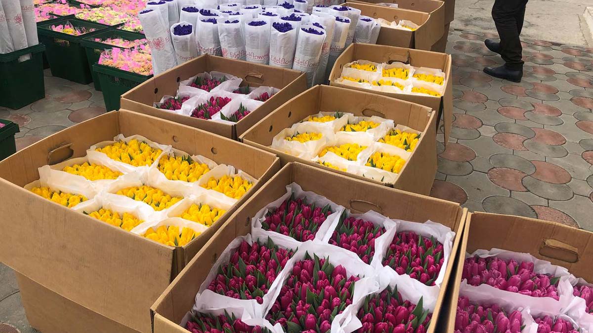 Kadınlar için Enerhodar'a 35 bin çiçek gönderildi