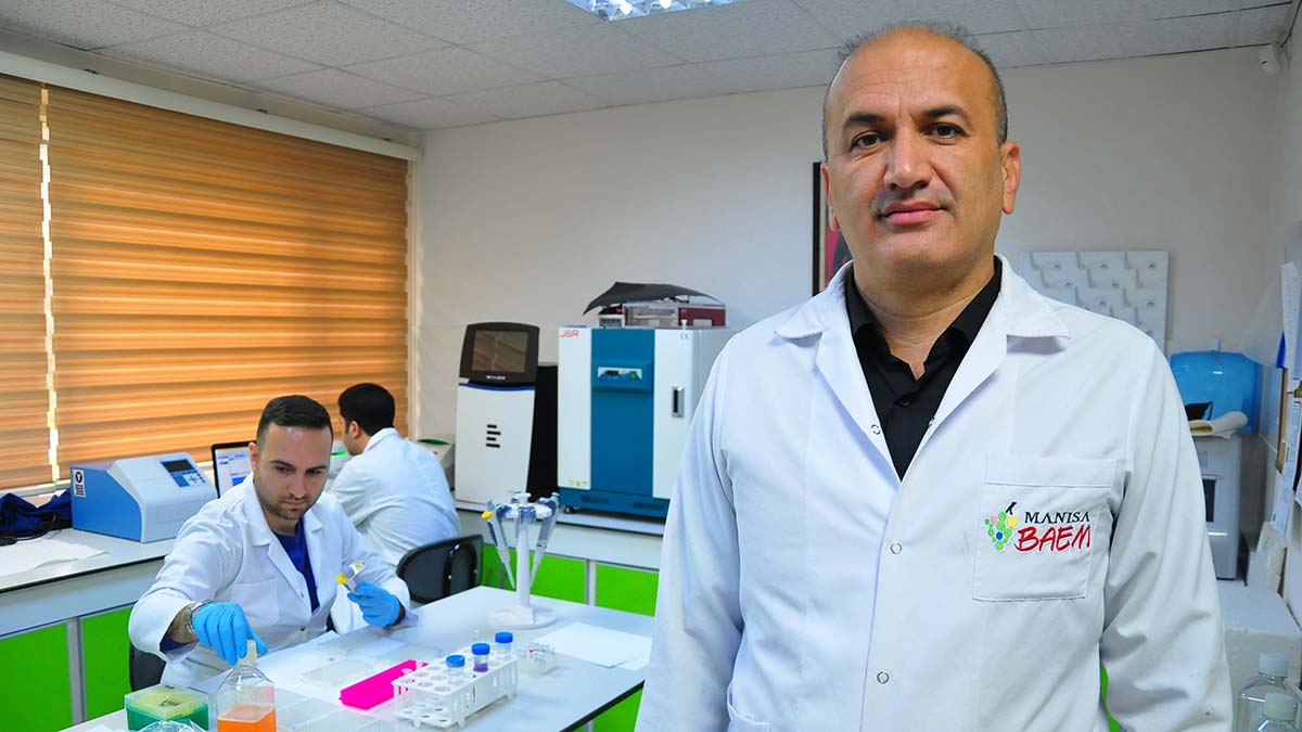 Ege'de yetişen 380 üzüm çeşidine kimlik çıkarıldı