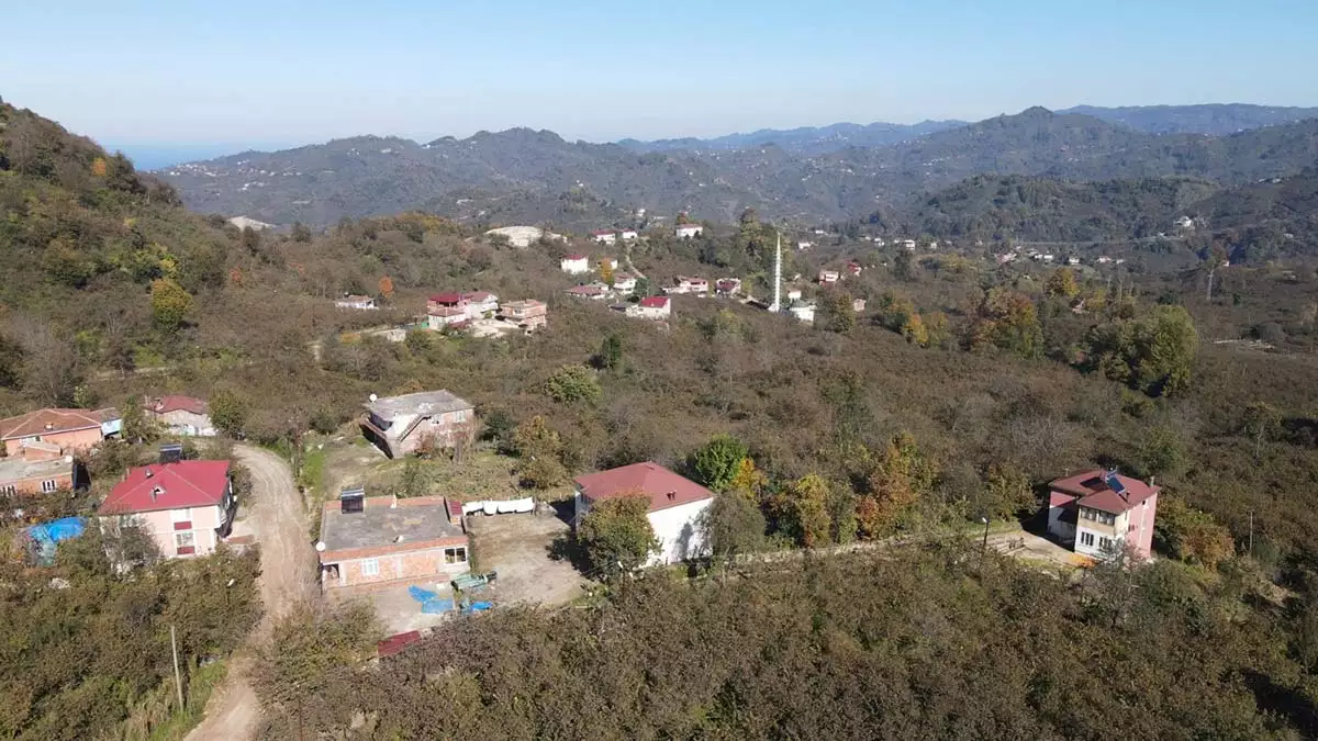 Ordu'nun fatsa ilçesine bağlı kayaköy akçakese mahallesi'nde endemik bitkileri barındıran alanda açılmak istenen taş ocağına yöre halkından tepki.