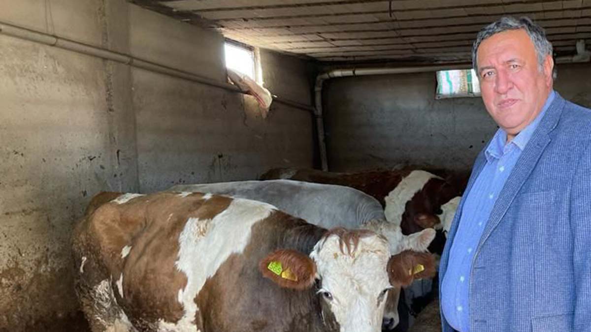 1 litre süt 1 kilo yem etmiyor