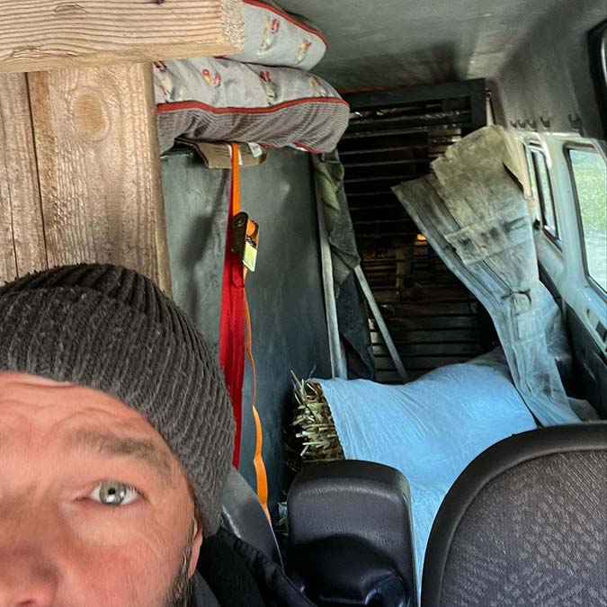 Savaş hattından bir aslan ve kurdu tahliye etti