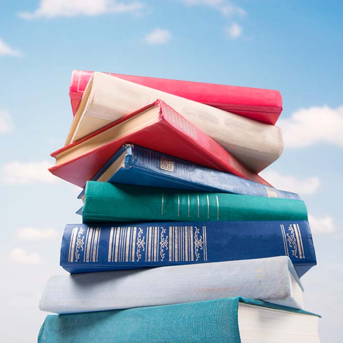 Çağımız itibari ile geçmiş yıllara göre yüksek teknoloji ve bilgiye kolay erişimiz olmasına rağmen bunu kullanmayarak sanal dünyanın çılgınlığı içinde sanal bir seyyah olmak varken "sanal köle" oluyoruz.