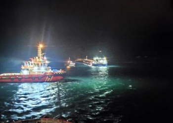 Mısır yüklü kargo gemisi karaya oturdu