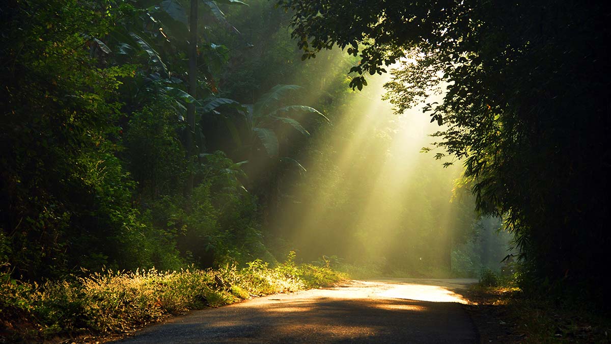 Tanrının kanatları altında yaşamak