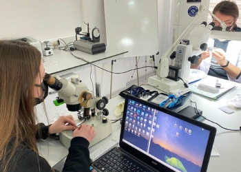 Değerli taşlar gemoloji laboratuvarında inceleniyor